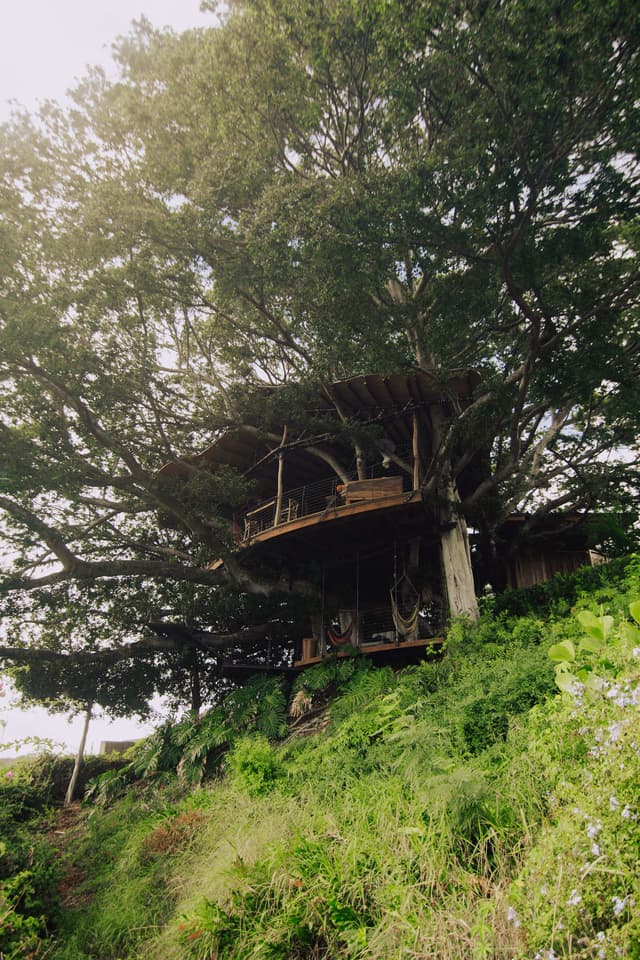 Mahina Treehouse