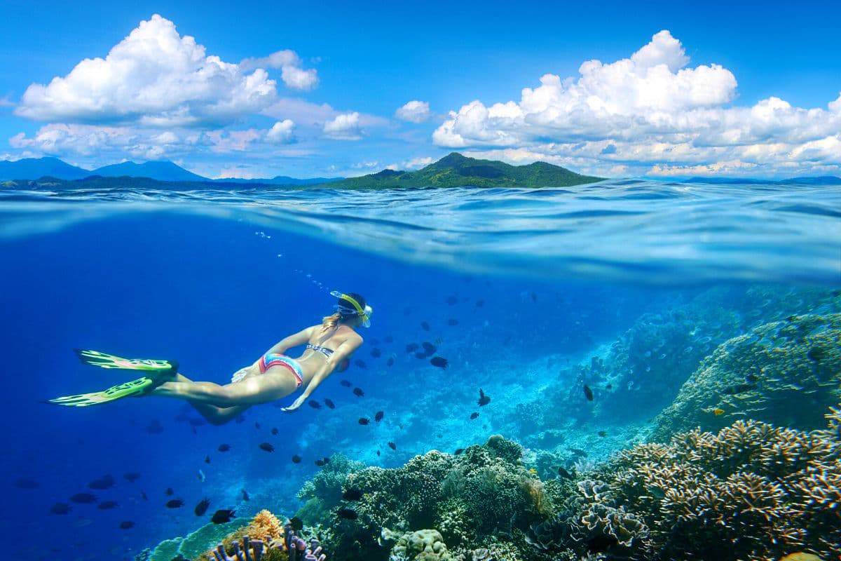 Snorkeling in Oahu