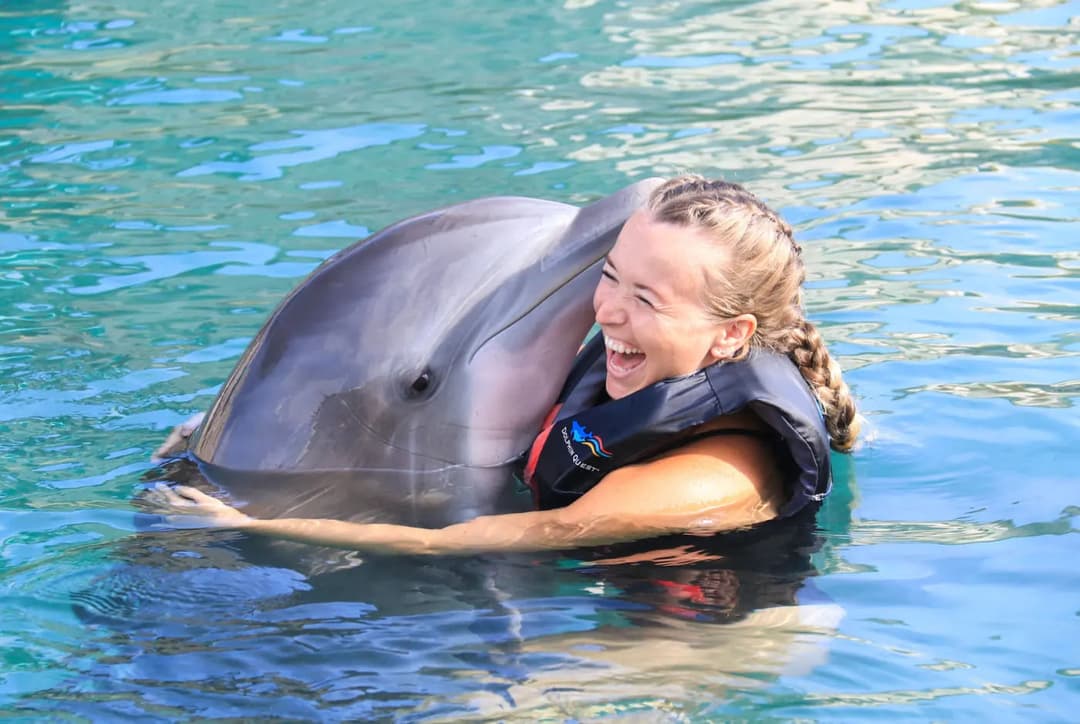 Swim with Dolphins