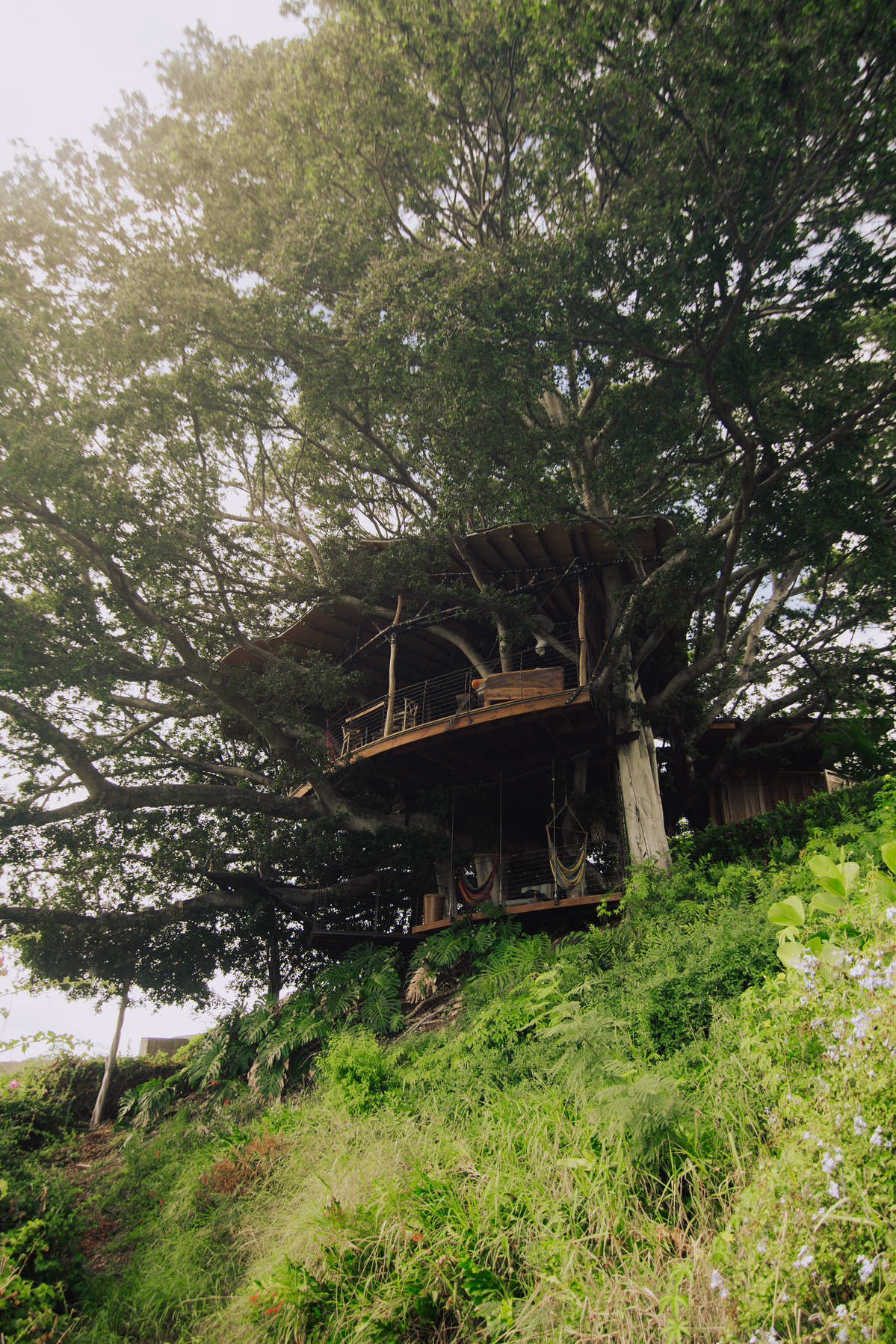 Selected Mahina Treehouse Image